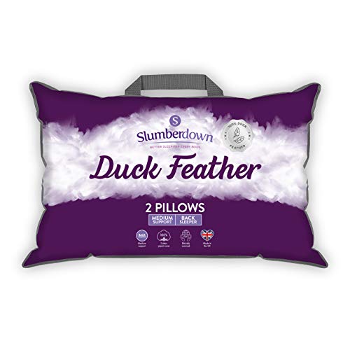 snuggledown proactiv pillow