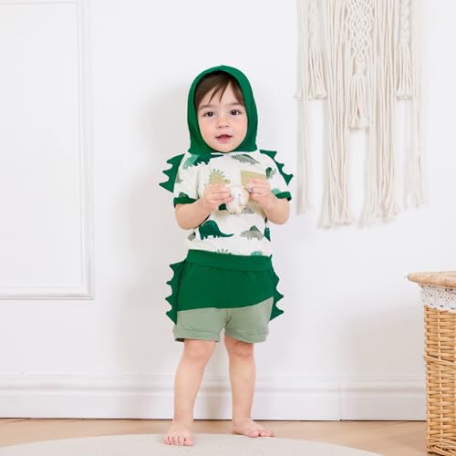 Toddler Baby Boy Hooded Summer Clothes Dinosaur Short Sleeve Color Block Shorts Set Cute Infant Summer Outfit4