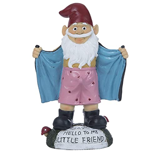 Gartenzwerg Statuen - Harz Lustige Wichtel Figuren Indoor Outdoor Frühling Dekorationen für Haus Terrasse Hof Rasen Veranda Ornament Geschenk Cover