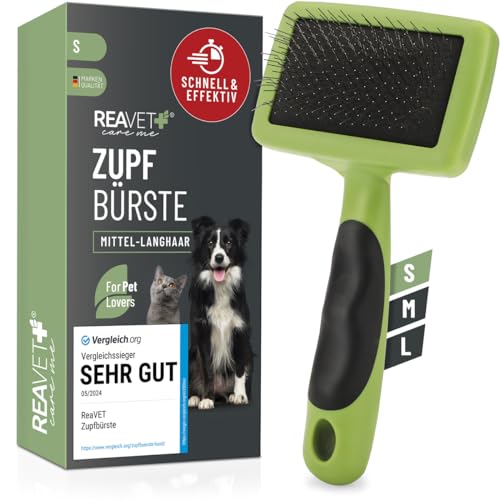 TESTURTEIL SEHR GUT 05/24 ReaVET Hundebürste, Katzenbürste, Zupfbürste für Langhaar Hunde & Katzen I Kleine Rassen I Entfernt sanft Unterwolle, Verfilzungen & Knoten I Haustier Bürsten