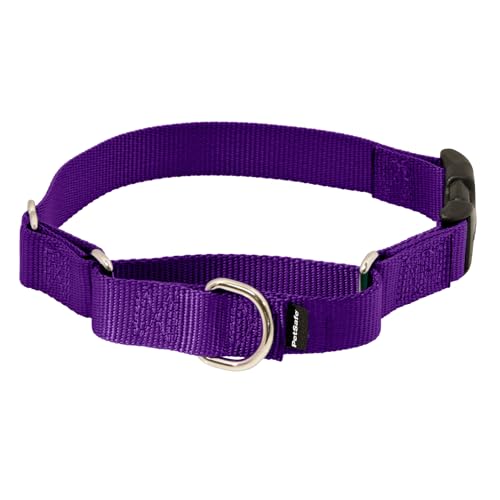 PetSafe Adjustable Martingale Collar - Improves Leash Manners - Escape Prevention - Gentle Behavior Training - Durable Nylon - Alternative to Choke Collar - Small 3/4" - Deep Purple