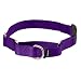 PetSafe Martingale Collar with Quick Snap Buckle, 3/8" Petite, Deep Purple