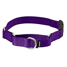 PetSafe Martingale Collar with Quick Snap Buckle - Humane Gentle Correction for Better Leash Control - Durable Nylon Material - Adjustable No-Slip Collar - Safe & Secure Walking Control
