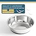 PEGGY11 Lightweight Stainless Steel Cat Bowls - 1.8 Cup, 2 Pack