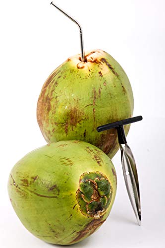 2 Qty - Ken's Cocomon Coconut Opener Tool For Fresh Green Young Fruit Black Rubber Handle Ez Easy Grip Safe (2 Cocomons) #TOP5