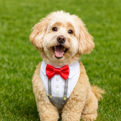 Arnés personalizado para perro con moño y tirantes miniatura 2