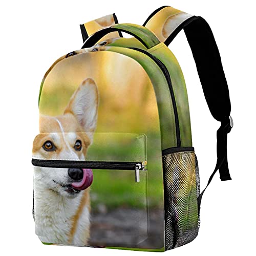 Sac à dos Corgi contre le mal de dos des enfants sur le campus avec porte-gourde