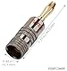 FosPower Bananenstecker Für Lautsprecherkabel - Bananenstecker Lautsprecher - Für Wandplatte und Subwoofer Kabel - Kabelschuhe Vergoldet 24K, High-End - 2 Rot & 2 Weiß - 2 Paare / 4 Stück