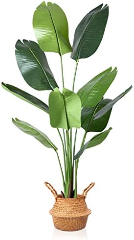 MOSADE 5.2FT Artificial Bird of Paradise Plant,Tall Fake Tropical Palm Tree with Woven Seagrass Basket, Realistic Faux Tree,10 Detachable Trunks Silk Plants for Modern Home Décor Indoor Office