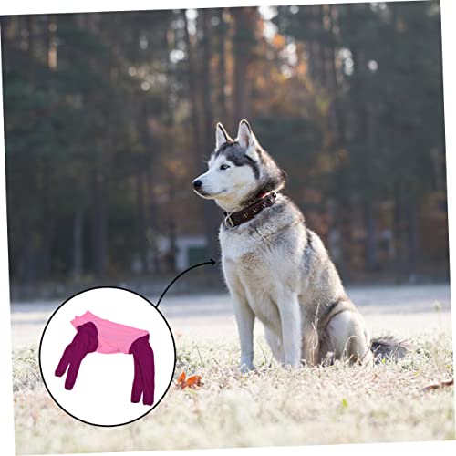 Disfraz para Perro YARNOW 9XL Color Morado miniatura 4