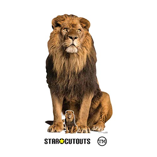 StarCutouts SC1438 - Figura Decorativa de león para Adultos (155 cm, Ideal para fanáticos de los Animales, Fiestas, coleccionistas, escenarios y Eventos), Multicolor