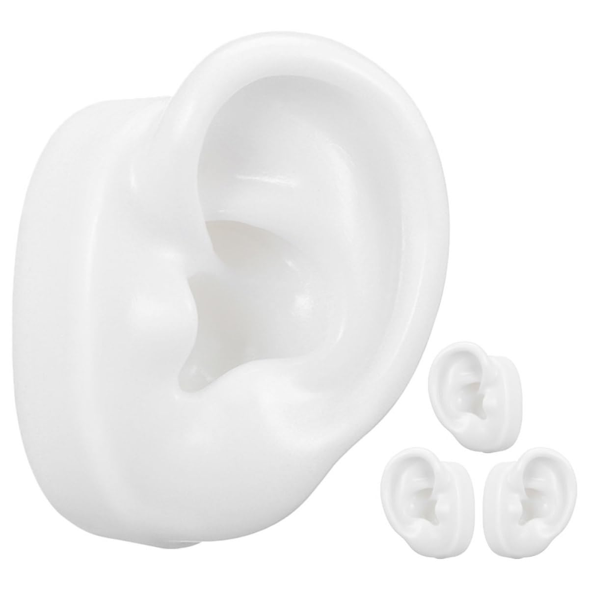 Modèles d'oreilles en silicone blanc pour entraînement au piercing corporel