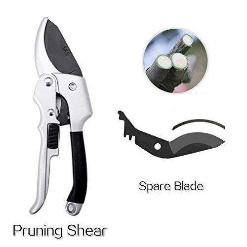 ALIXIN-Pro Sécateur à Engrenages Lame de sécateur,sécateur d'enclume à Lame d'acier Professionnel SK-5,Conception d'amortisseur,Outil d'élagage de Jardinage très Durable(sécurité+Lame de Rechange)