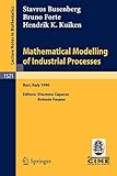 Mathematical Modelling of Industrial Processes: Lectures given at the 3rd Session of the Centro Internazionale Matematico Estivo (C.I.M.E.) held in ... 1990 (Lecture Notes in Mathematics (1521))