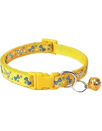 dog accessories flipkart