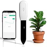 PLANTRON Afra I Smart Soil Moisture Sensor by LINKSTYLE — 2-in-1 Soil Moisture and Temperature Monitoring, for Indoor Planting and Gardening, App Controls and Notifications (1-Pack Sensor only)