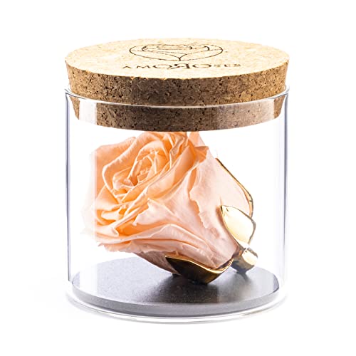 Amoroses Bijou - Rosa Stabilizzata Eterna con Calice Placcato Oro 24K...