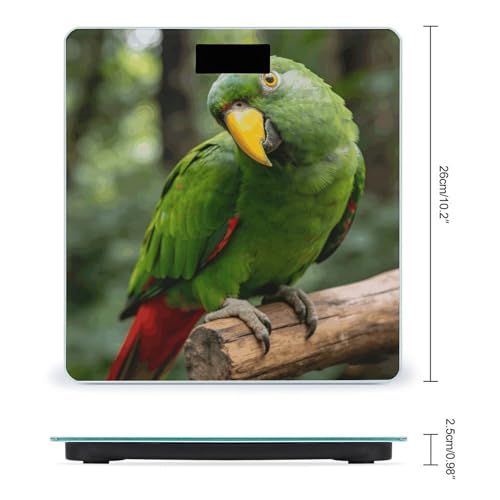 Báscula Digital de Baño Precisa con Pantalla LCD Grande miniatura 2