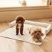 Bettschlange Hundebett Sofa Waschbar - Hundedecke Sofa mit Rand, Sofaschutz Hund, Flauschig Hundebett, rutschfest Hundekissen, Mittelgroße Hunde,75x75cm,Dunkelgrau