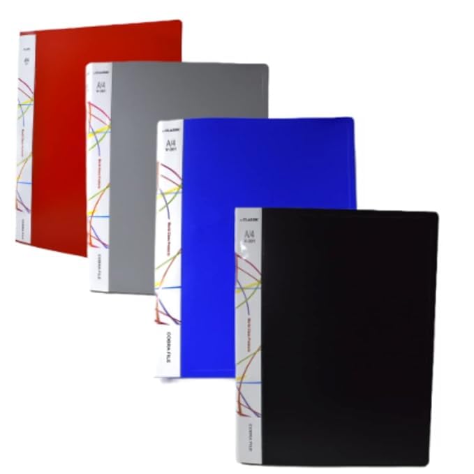 Plastic Spring Files with Spring Inside (Pack of 4 Pcs) : Amazon.in ...