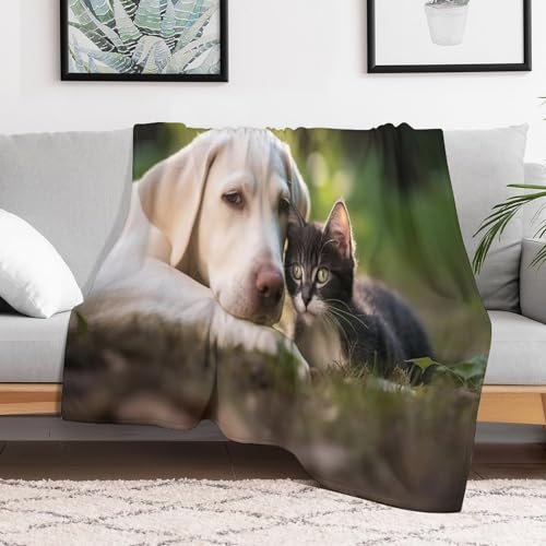 Couverture polaire chien lavable pour protéger efficacement canapés et lits douillets - 3