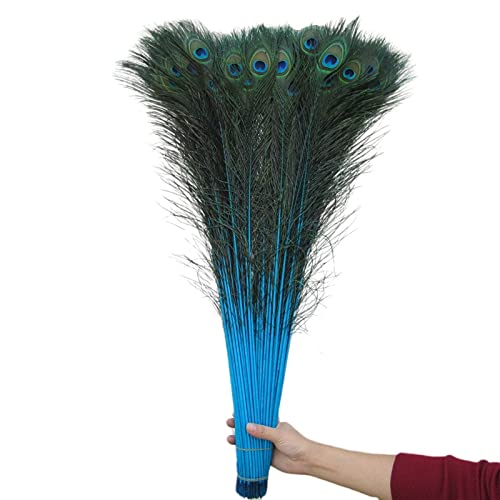 Plumas naturales de pavo real de 80-90 cm, pack de 50 unidades para decoración de salas de estar