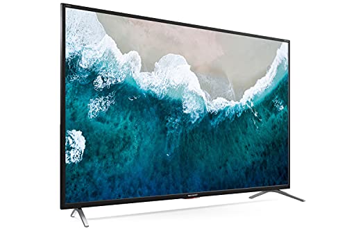 Sharp 49BL5EA - 49" Smart Android TV med Netflix