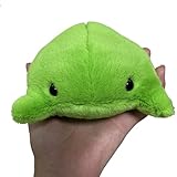 Weighted Plush Baby Bean Frog Plush, 4.3inch Cute Soft Fluffy Frog Stuffed Animal Weighted Frog Plushie Toy with Plastic Pellets, Birthday Xmas Travel Gift for Kids Adults Girls Boys