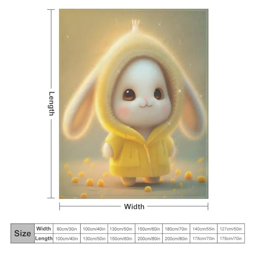 Couverture canapé lapin douce couverture chaude flannel lit voyage - 6
