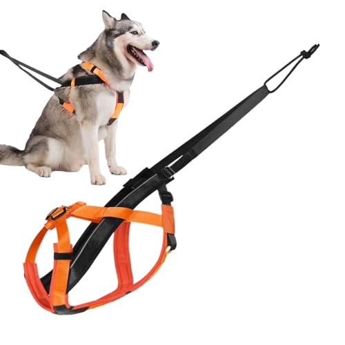 Yurosuis Imbracatura Da Traino Per Cani - Pettorina Riflettente Da Corsa Per Cani | Cinturino Comodo E Regolabile Per Passeggiate Corsa Sport Addestramento Attività All Aperto E Trascinamento Slitte