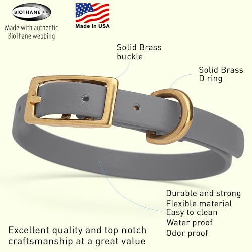 Image of Viper Biothane Heavy Duty Waterproof Dog Collar Strong Coated Nylon Webbing w /Solid Brass Hardware Odor-Proof Easy to Clean High Performance Fits Small Medium or Large Dogs, Battleship Gray