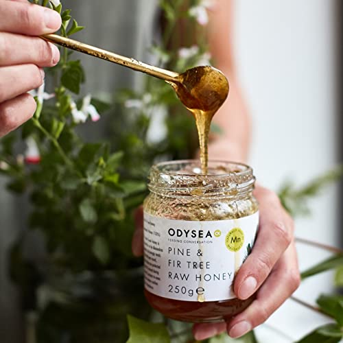 Odysea Pine and Fir Tree Raw Honey, 250g