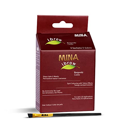 MINA ibrow Hair Color Tint Kit Regular Pack with Brush For Professional Tinting & Coloring, Covers Gray Hair, Stays up to 6 Weeks-(30 applications)(Burgundy)