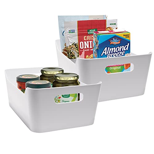 bHome 2 XLarge Pantry Organization And Storage Plastic Storage Bins