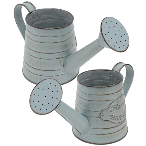 CAXUSD 2piezas Jarrón Vintage De Estilo Jarrón Rústico con Flores Contenedor De Hierro para Decoración