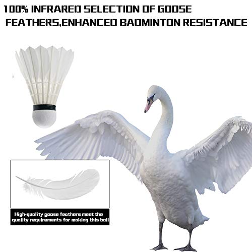 KEVENZ Badminton Birdie, 24 Pack Goose Feather Badminton Birdies with Great Stability and Durability, High Speed Badminton Shuttlecocks for Training and Competition - Thumbnail 6