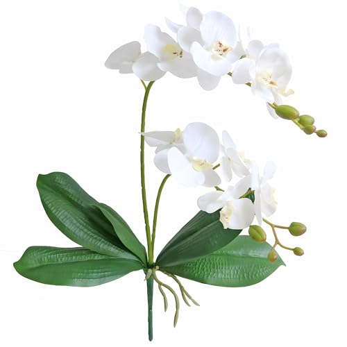 Elyjhyy 2 Branches Artificial White Phaleanopsis Flowers Faux Orchids Stems Leaves Plants for Home Bonsai Garden Decoration (White)