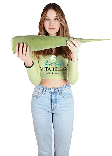 Frische groe BIO Aloe Vera Bltter 80 cm LANG  900 g aus Spanien EU  zertifiziert 1 2 3 5 10 Stk ganzes XXL Barbadensis Miller Blatt fr Gel  Haut Haare Nagel Krper Anti-Aqing (10) : Amazon.de: Kosmetik