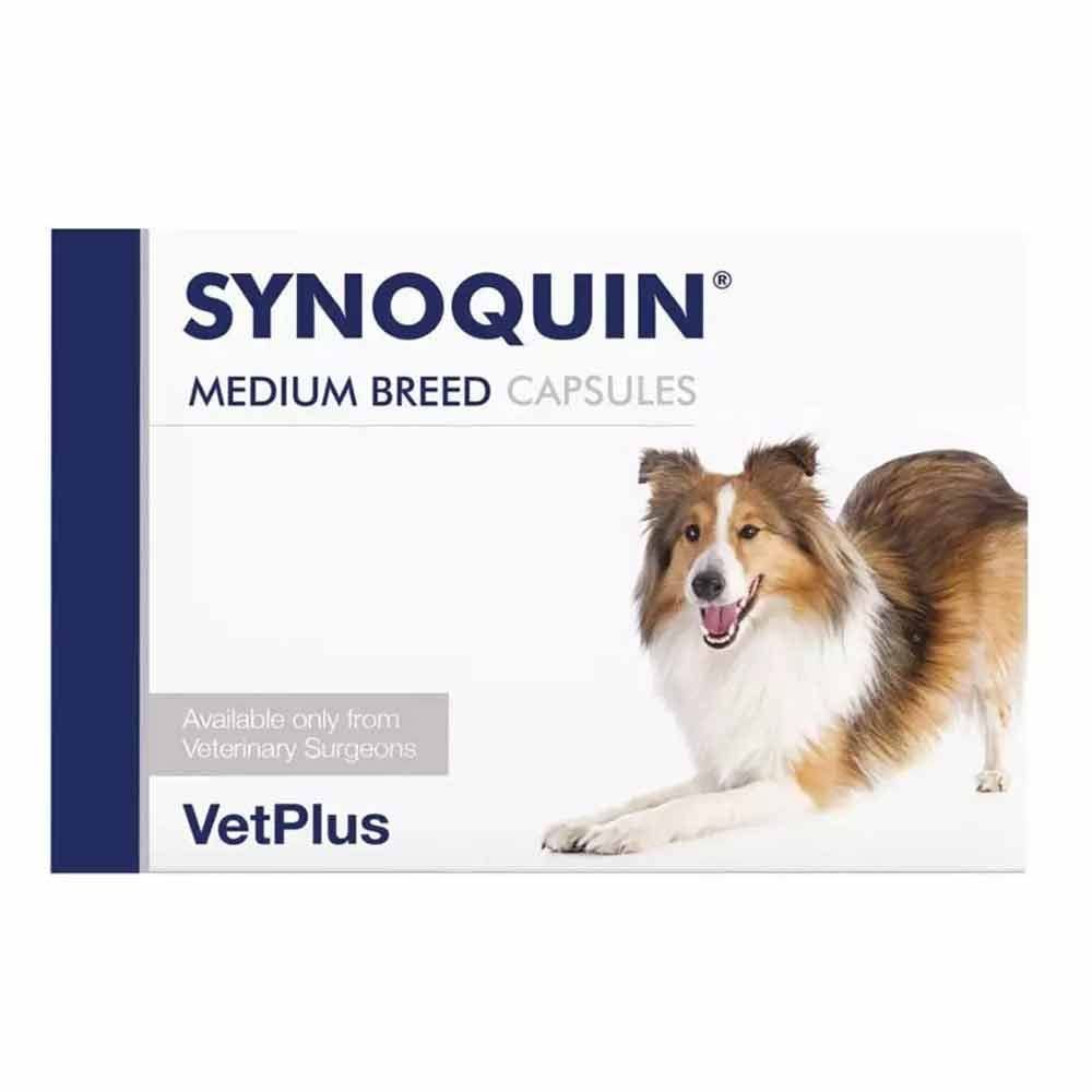Synoquin EFA Capsules Medium Breed Dog (10-25kg) - Pack of 120