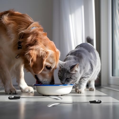Jeffdad 6 Stück Katzen Löffel Edelstahl, Katzenpfotenschaufel Katzenlöffel Hundelöffel Haustier Futter Löffel, Paw Cat Can Spoon Fütterungslöffel Langer Griff Futterlöffel für Haustiere
