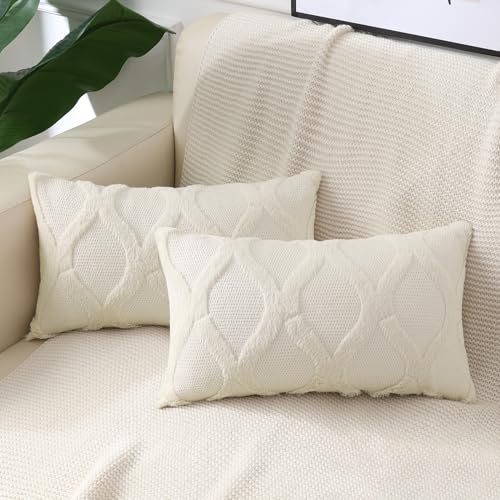 decorUhome Spring Throw Pillow Covers 12x20 Inch Set of 2,