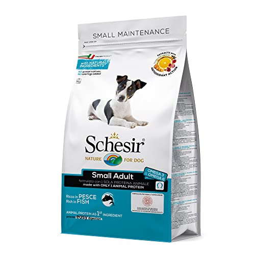 Schesir Dog Small Maintenance Fisch, Hundefutter trocken für kleine Hunde, Beutel, 2 kg