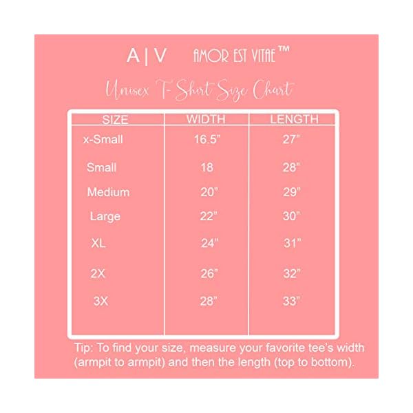 A V AMOR EST VITAE Christian T Shirts | Womens Christian Shirt | Christian Tees | The Lord is My Strength and My Song (Black Lord is My Strength, X Large)