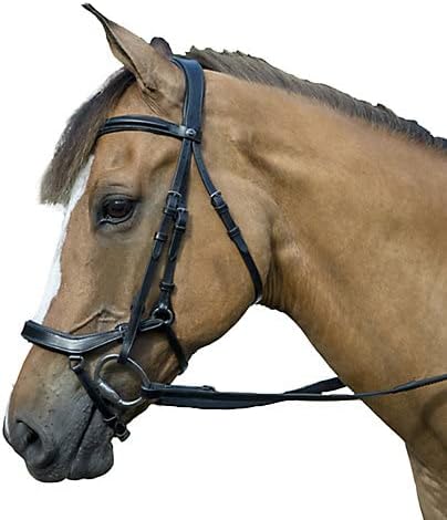 Henri de Rivel Pro Anatomical Bridle