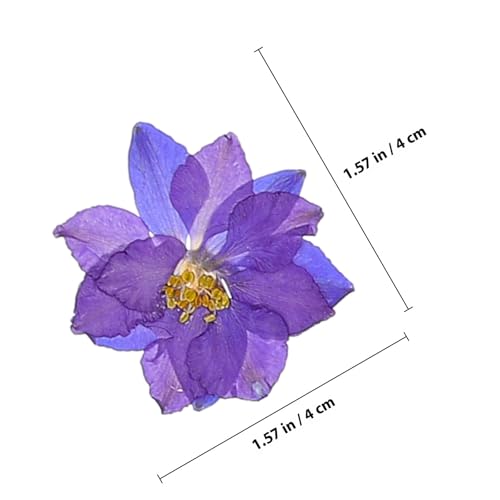 Mezcla de Flores Secas Artesanales 27 Piezas Kit DIY miniatura 2
