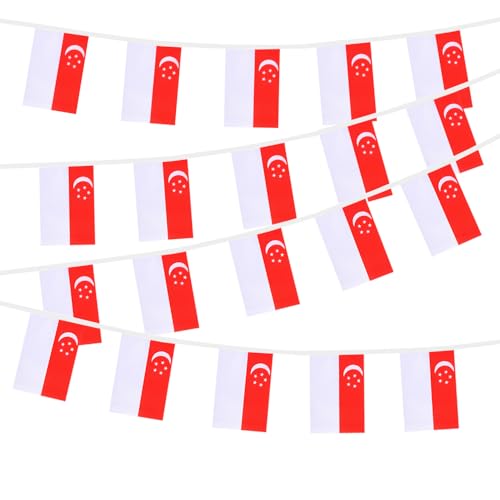 HSQCEZ Singapore String Flags Banner Mini Small Singaporean Flag Bunting Patriotic Hanging Decor,National Holiday, Sports Game, Fiesta & Themed Party,18 Feet 20 Flags