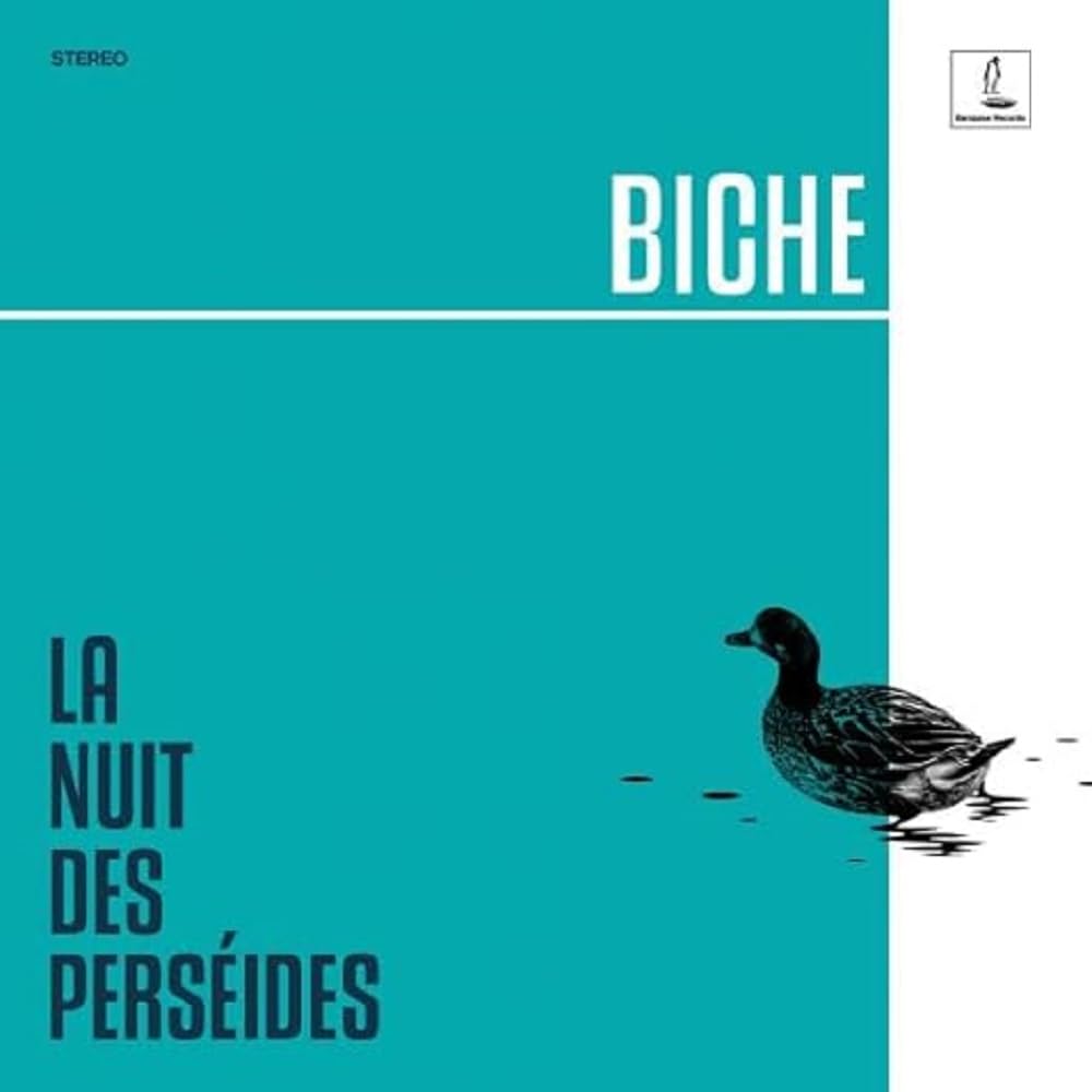 La Nuit Des Perseides