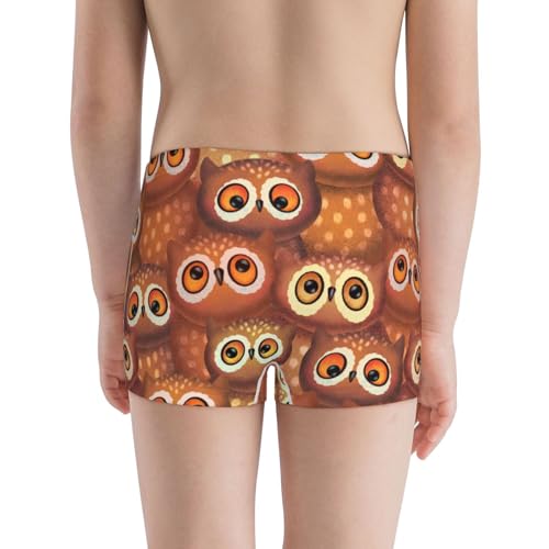 Boys' Cotton Boxer Brief Soft Underwear-Brown Owl3