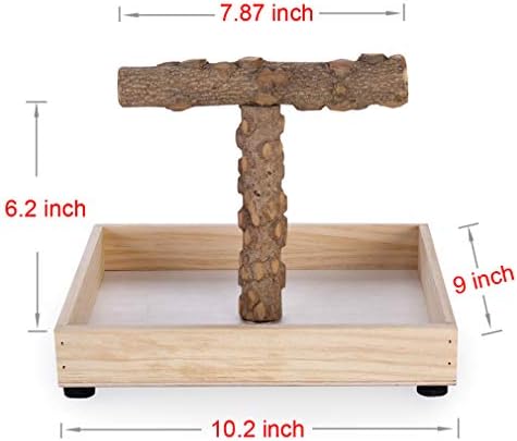Kintor Bird Stand, Natural Wood Tabletop T Perch for Small & Medium Parrots — 사진 2