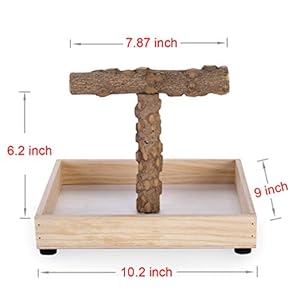 Kintor - Supporto per uccelli da tavolo, portatile, per pappagalli di piccole dimensioni e medie - immagine 2